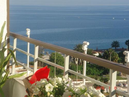 La Nogalera Collection in Torremolinos, Spain