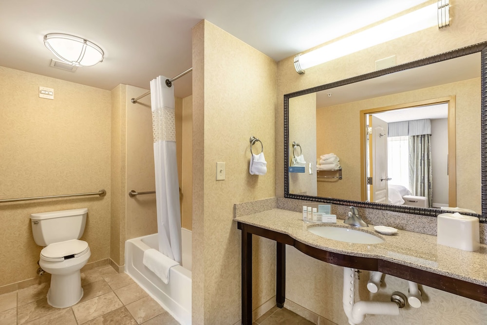 Hampton Inn & Suites Orlando South Lake Buena Vista - photo 32
