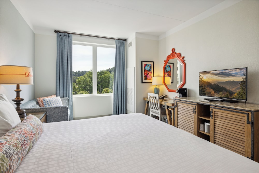 Dollywood's DreamMore Resort - photo 20