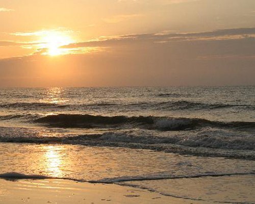 The Native Sun - photo 7