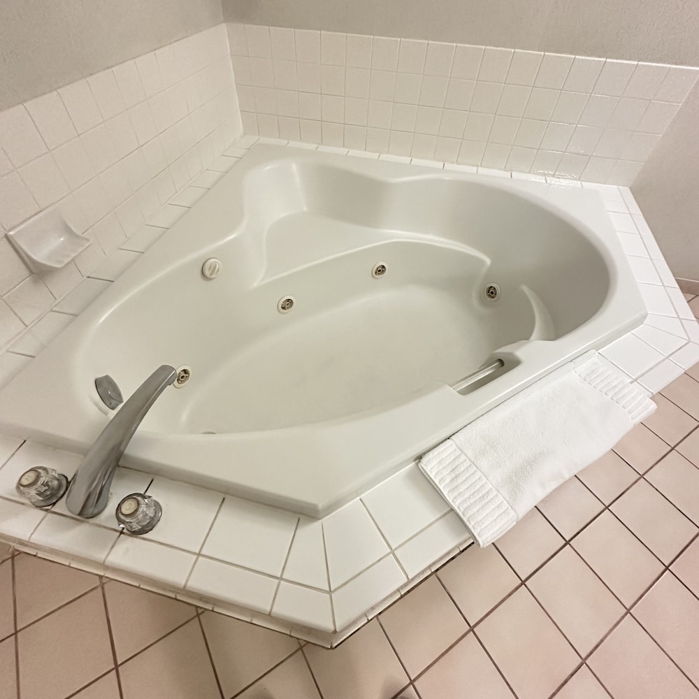 Timberland Inn & Suites - photo 87