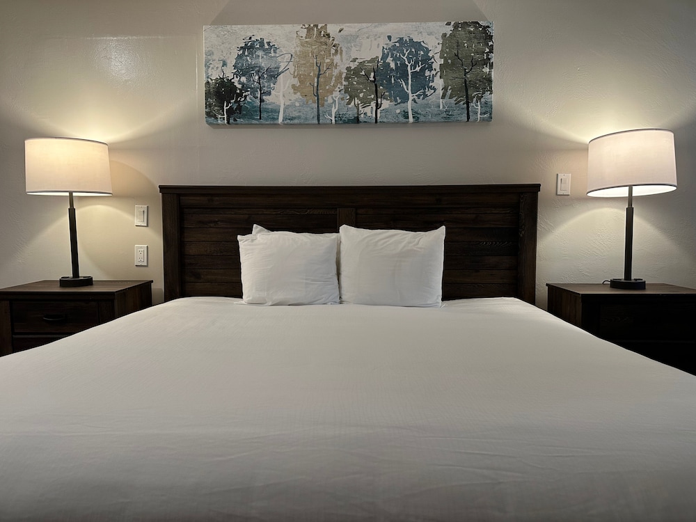Bluebird Inn - photo 11