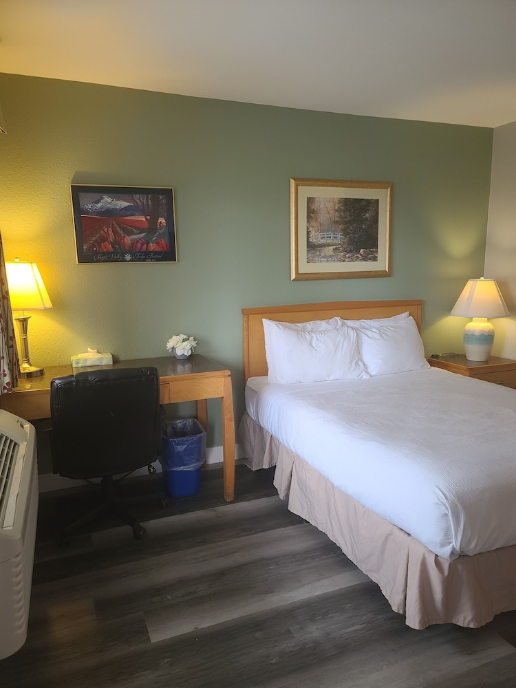 Tulip Inn - photo 25