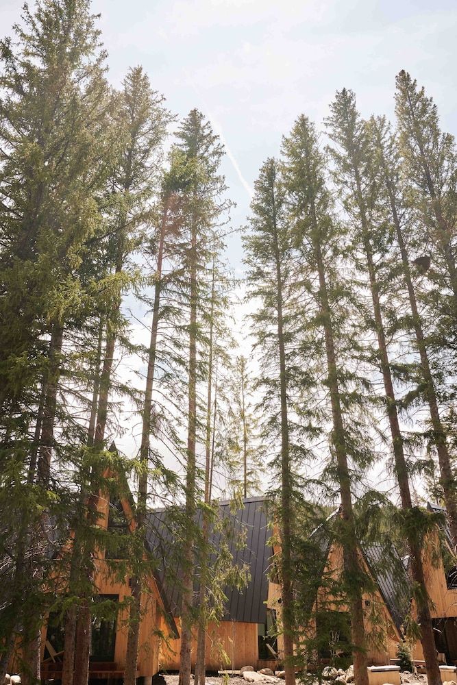 A Frame Club — Winter Park