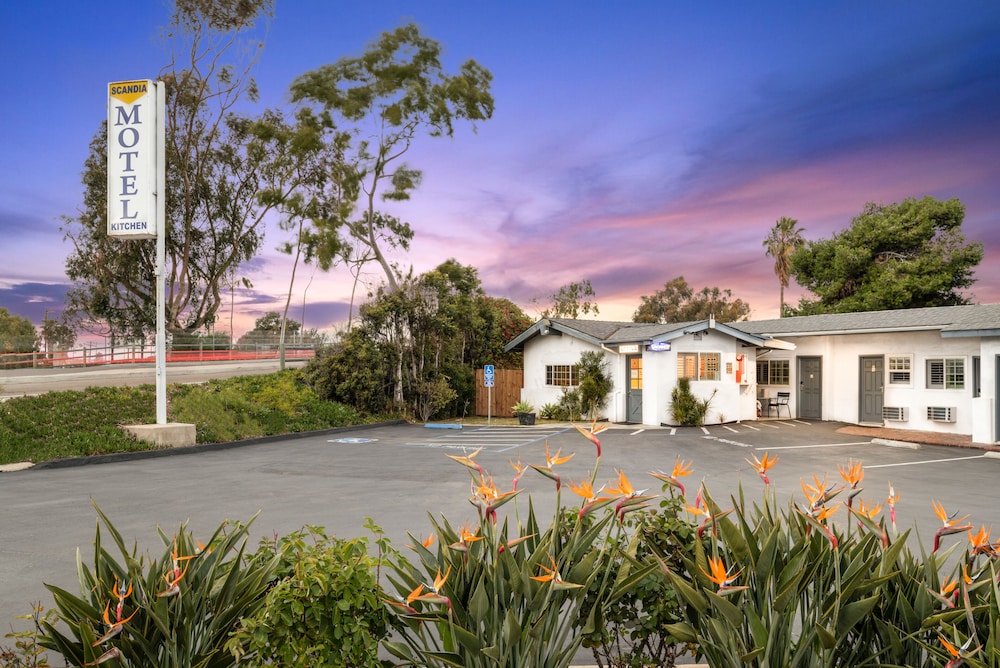 Scandia Motel - photo 25