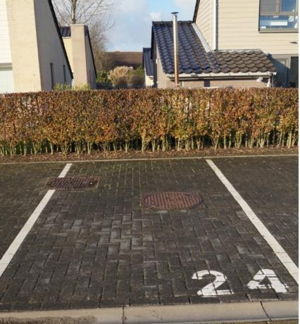 Zee En Polder Nummer 16 — Middelkerke — photo 5