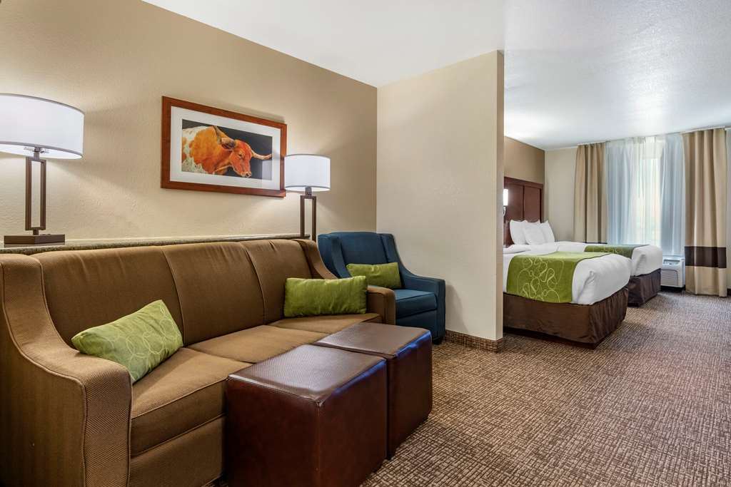 Comfort Suites Fernley - photo 23