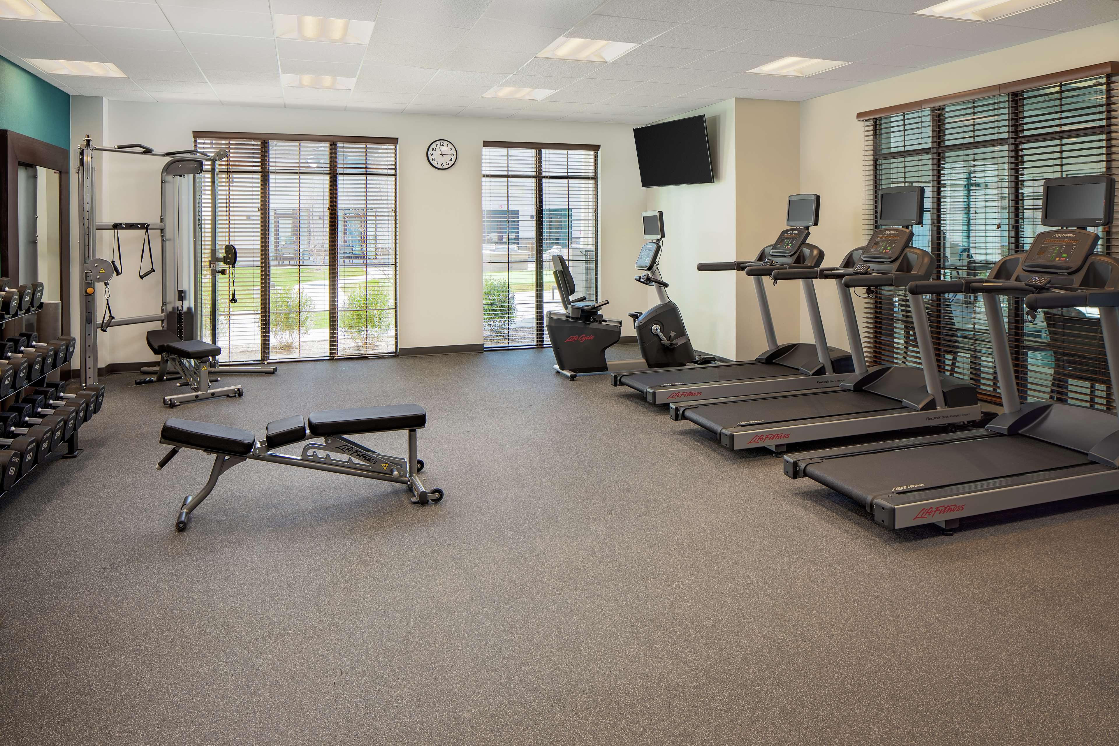 Homewood Suites by Hilton Ronkonkoma - photo 7