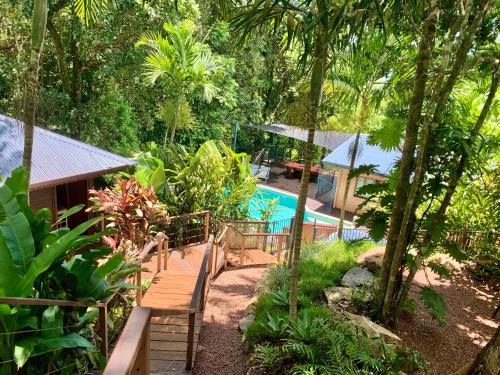 Cairns Rainforest Retreat — Cairns — photo 4