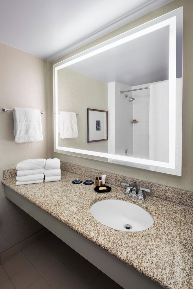 Sheraton Raleigh Hotel - photo 14