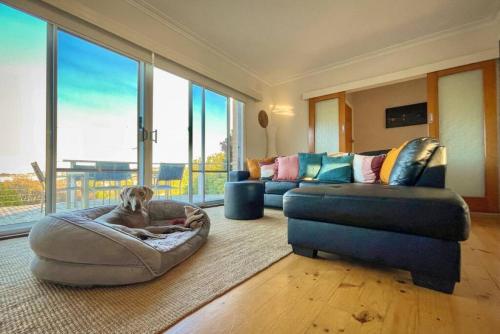Saltwater Haven Pets Welcome. Wifi. Amazing View — Apollo Bay — photo 5