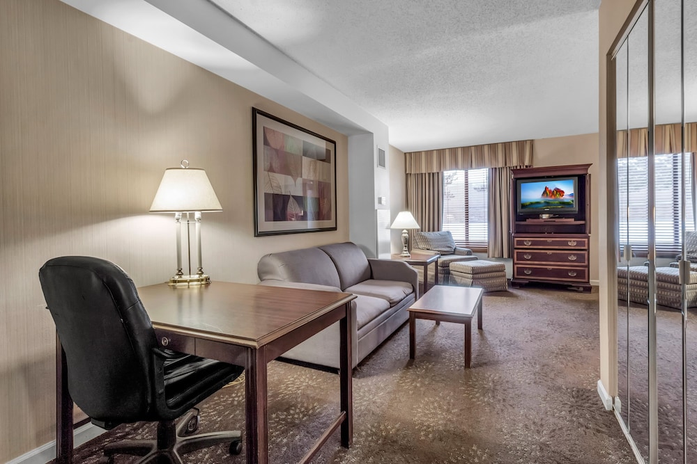 Buffalo Airport Hotel - photo 38