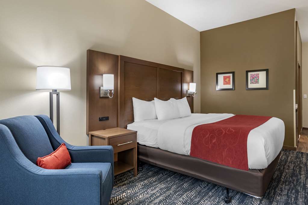 Comfort Inn & Suites Downtown near University - photo 33