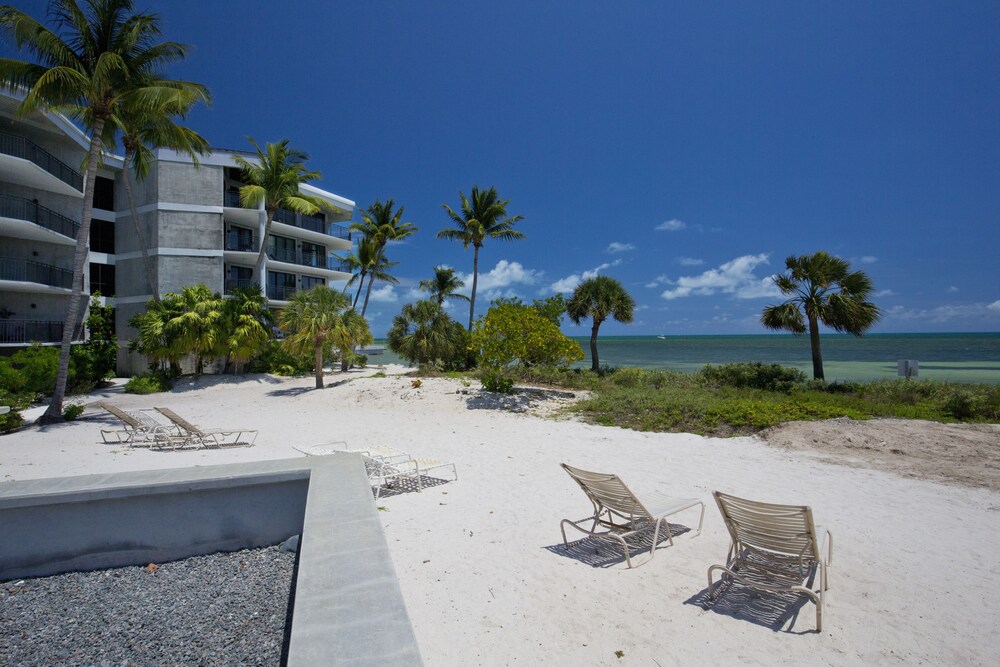 1800 Atlantic Suites - photo 45