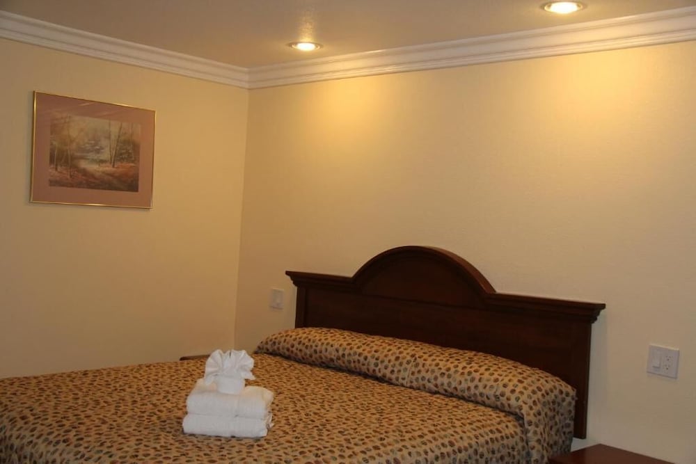 Astro Motel - photo 3