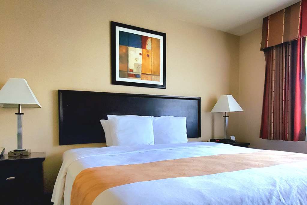Quality Inn & Suites Anaheim At The Park - photo 23