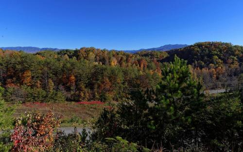 Splash Mansion - last minute hotel in Sevierville