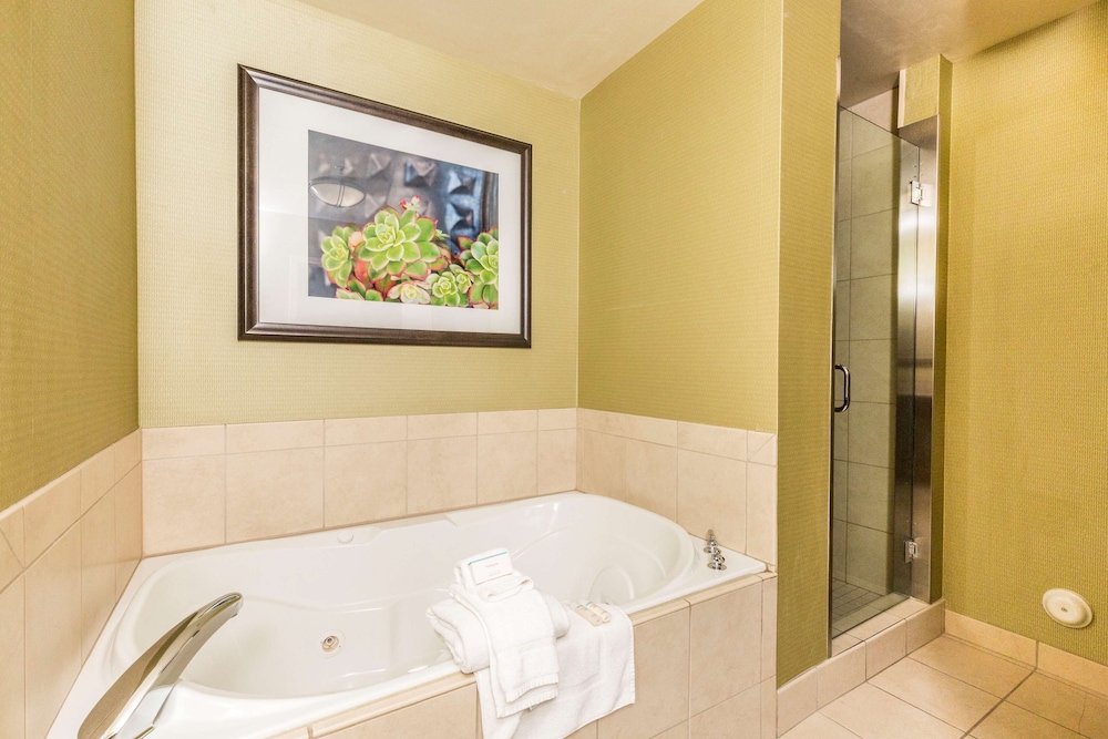 Hilton Garden Inn St. George - photo 29