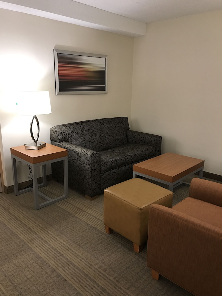 Holiday Inn & Suites Bolingbrook by IHG - photo 25