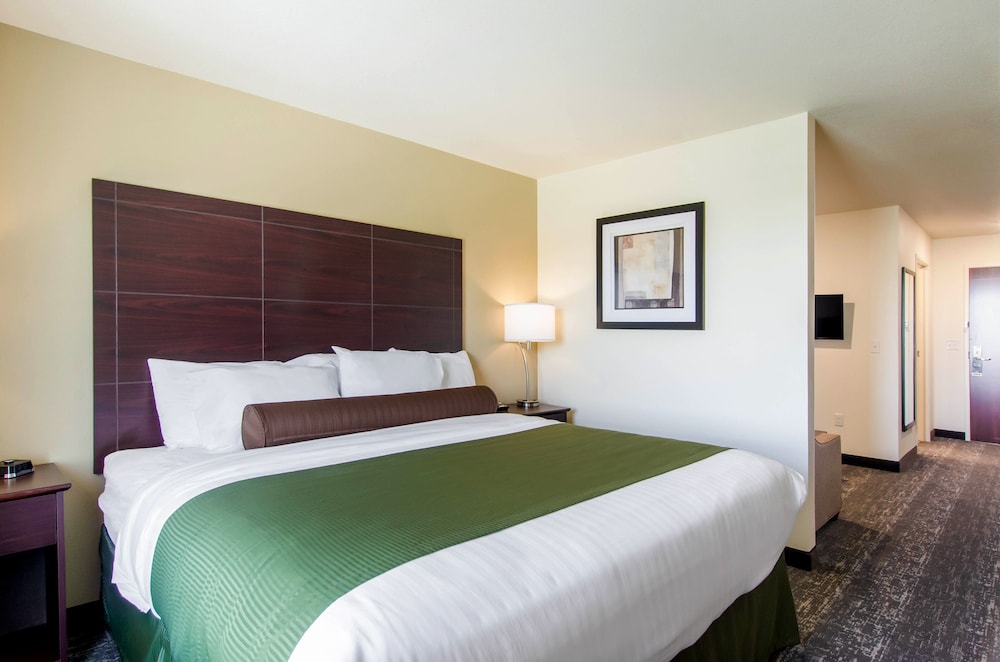 Cobblestone Hotel and Suites Torrington - photo 16
