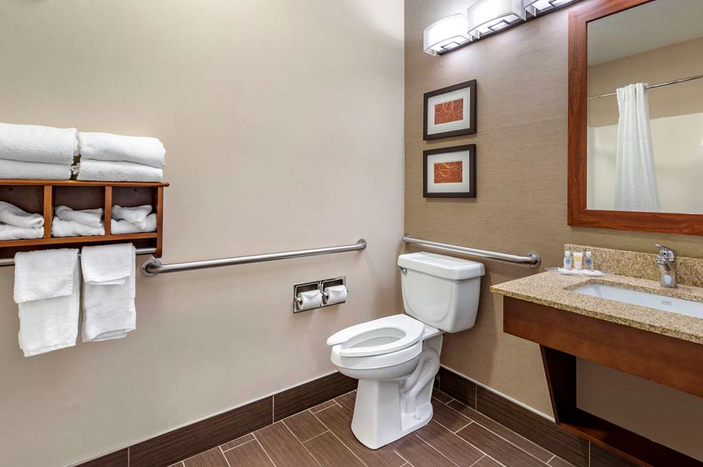 Comfort Suites Columbus West Hilliard - photo 13
