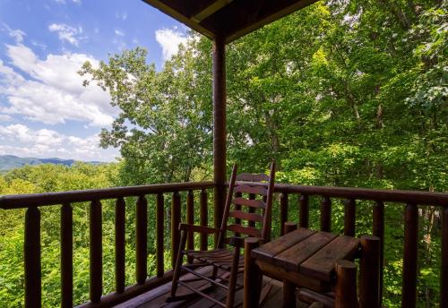 Tree Tops Hot Tub Pool table WIFI 560 FREE tickets each paid day - photo 13