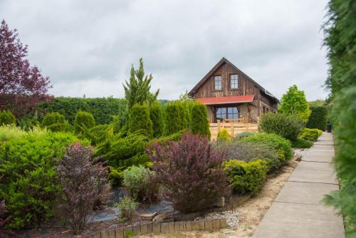 Pine Cottage — Cserszegtomaj — photo 3