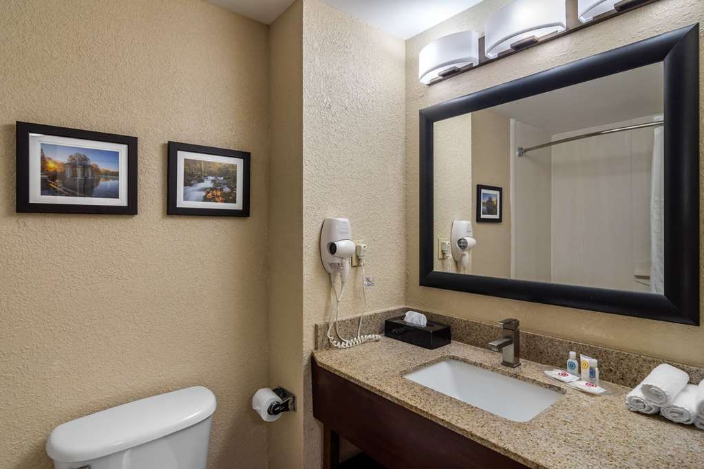 Comfort Suites Woodstock Atlanta North - photo 34