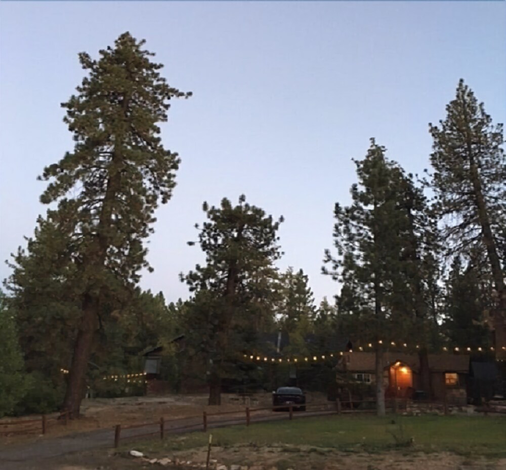 Golden Bear Cottages - photo 130