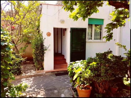 Cavo Beach 4 - last minute hotel in Unknown City