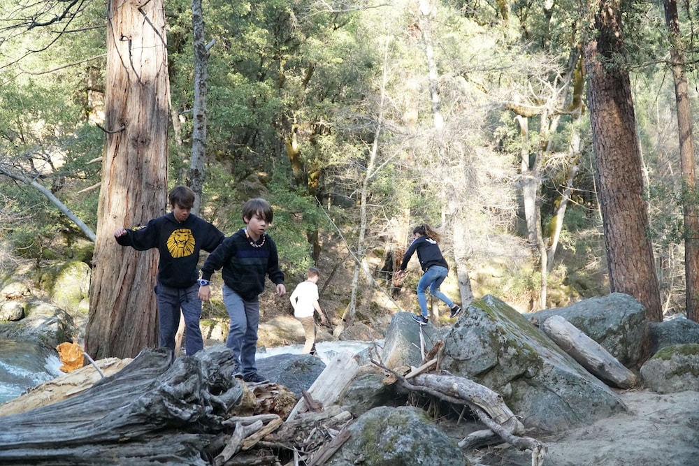The Pines Resort - photo 49