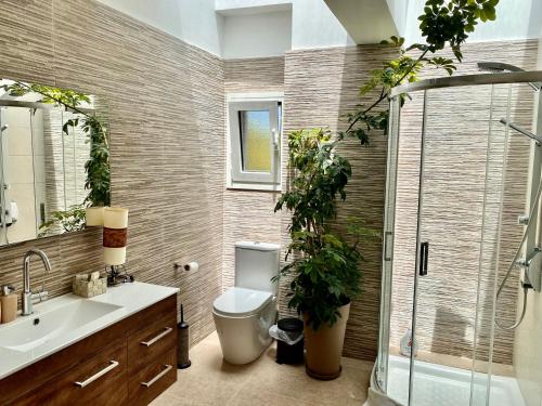 Selini Apartment — Selinia — photo 5