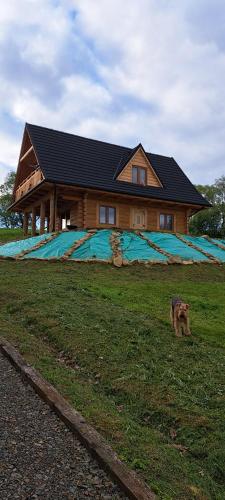Dom U Eskulapa — Lutowiska — photo 2