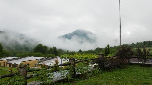 West Wood ApartHotel in Velykyi Bereznyi, Ukraine