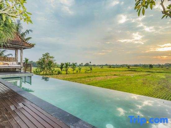 Umah Sunset — Ubud — photo 5