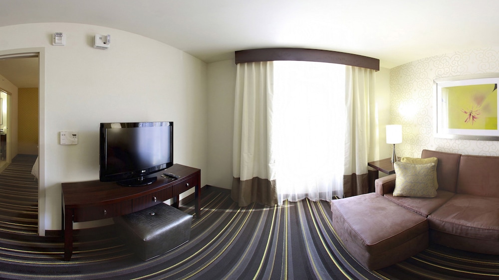 Embassy Suites by Hilton Savannah Airport - photo 27