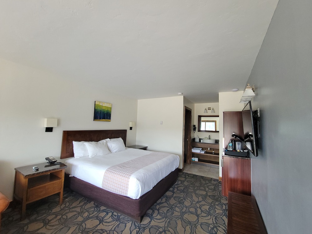 Mount Princeton Hot Springs Resort - photo 20