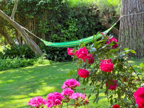 Casa delle Chicche Imperia — 4-Star Luxury Hotel in Imperia, Italy