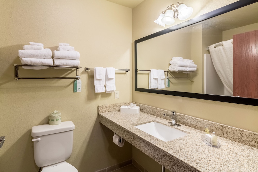 Cobblestone Hotel & Suites Pecos - photo 27