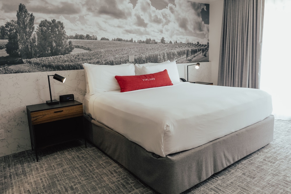 Vinland Hotel and Lounge - photo 21