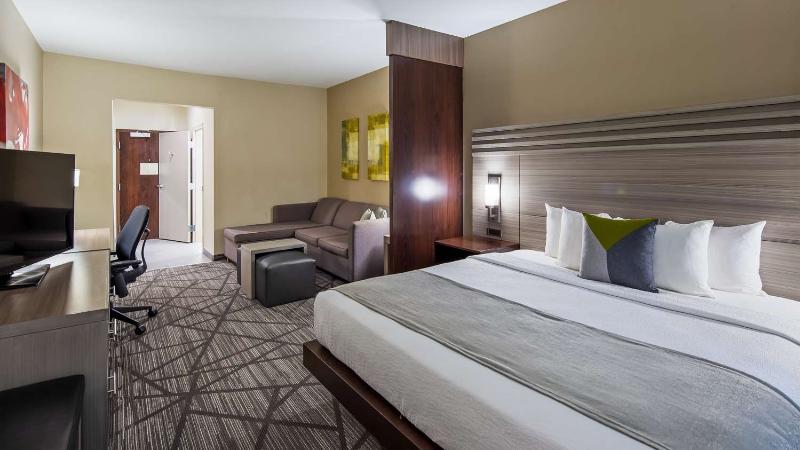 Comfort Inn & Suites Houston I 45 North IAH - photo 11