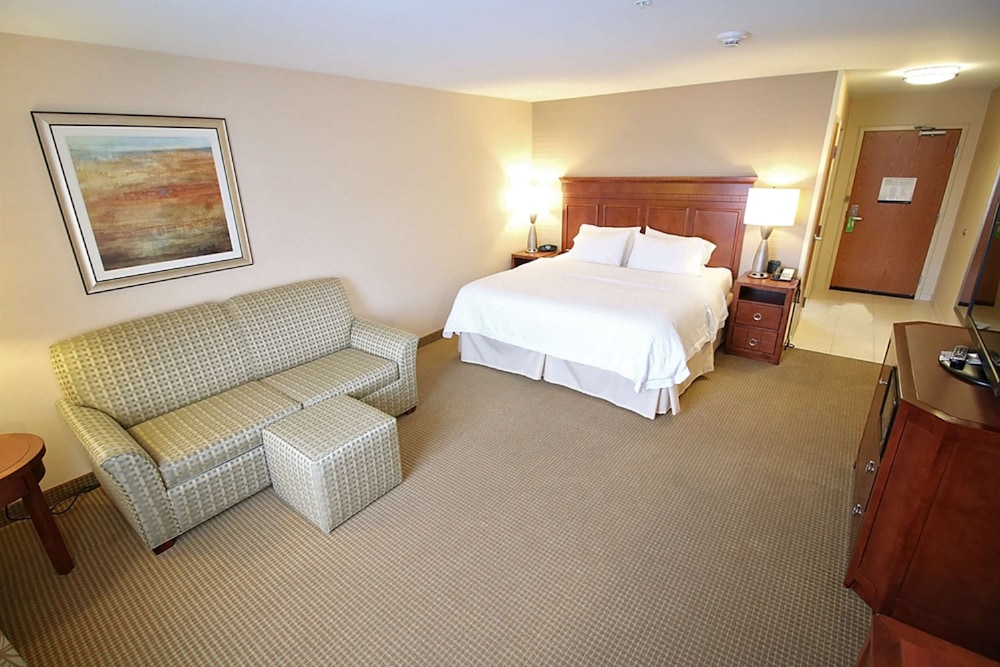 Hampton Inn Detroit Auburn Hills North - photo 11