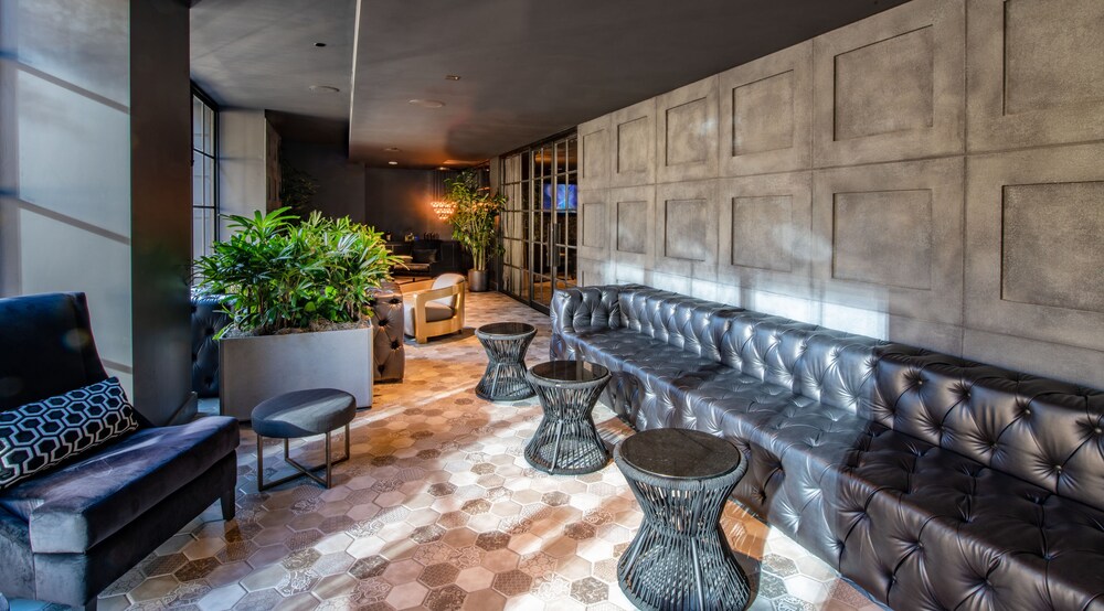 The Mayfair - photo 33