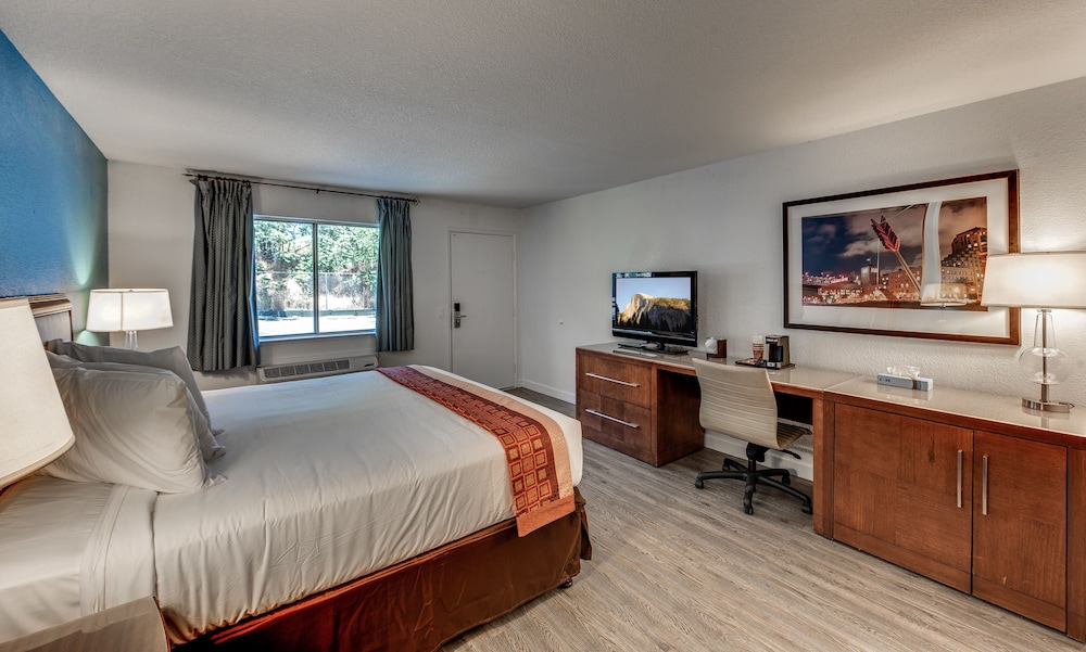 Angels Inn - photo 5