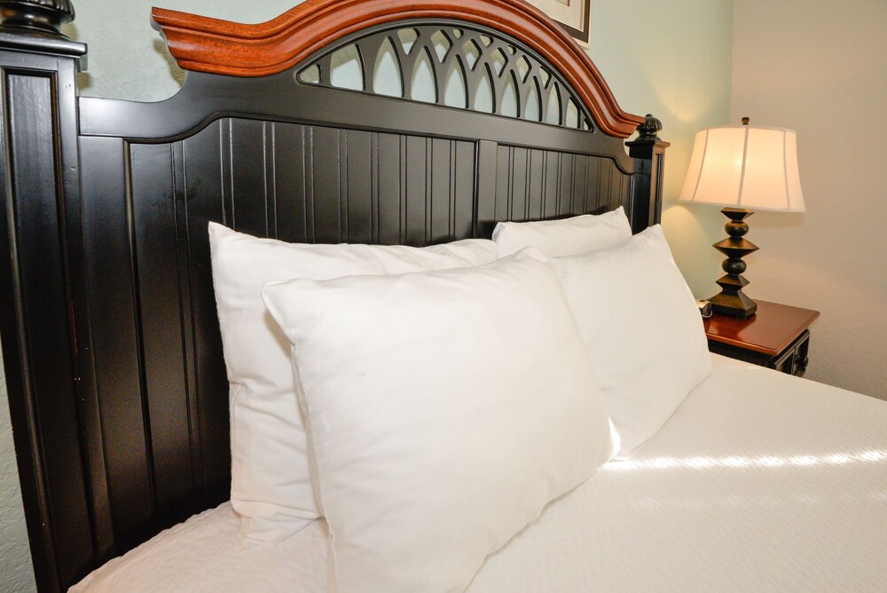 Orlando Luxury Escapes - photo 486