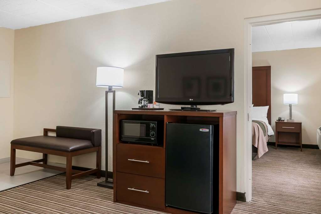 Comfort Inn Pocono Mountains - photo 19
