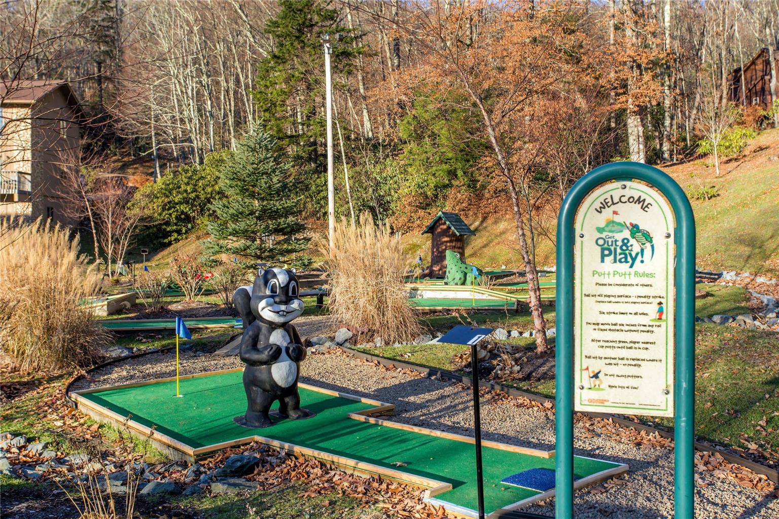 Bluegreen Vacations Blue Ridge Village an Ascend Collection Resort - photo 46
