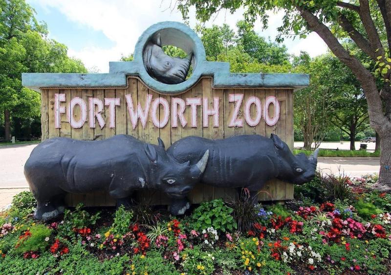 TownePlace Suites by Marriott Fort Worth Northwest Lake Worth - photo 6