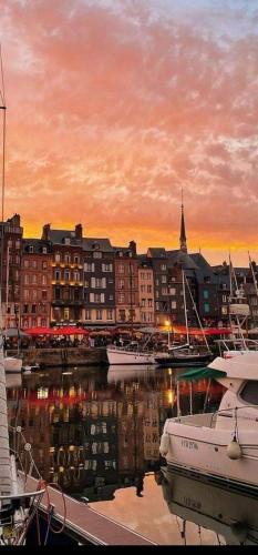 Le Petit Honfleur - carbon neutral hotel in Honfleur