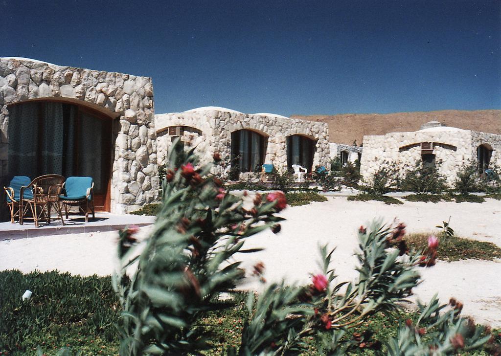 Moonbeach Hotel Windsurfing Centre — Suez